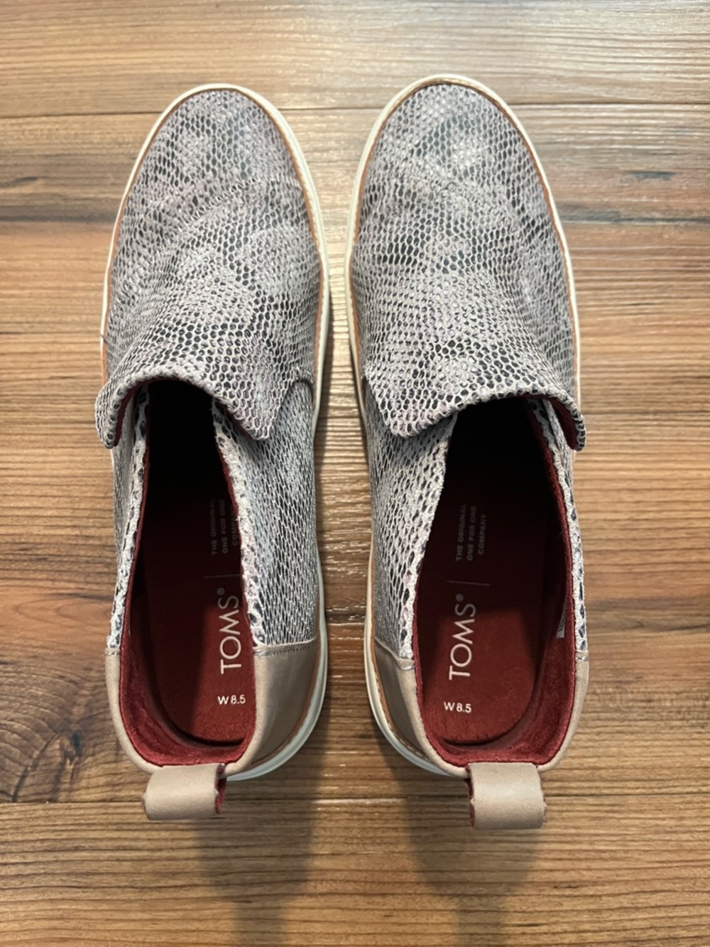 TOMS Paxton Slip-On Shoes in Cobblestone Gray Snake-Print size 8.5W
